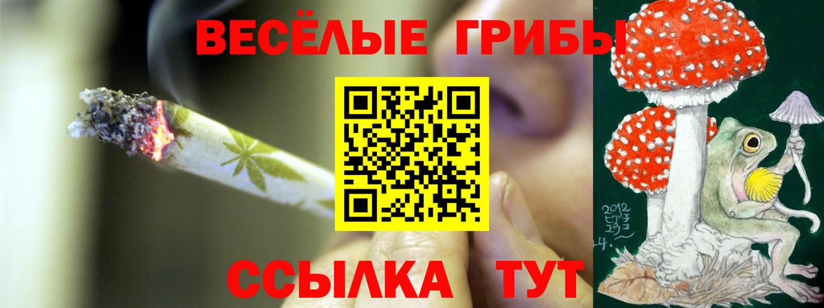 купить наркотик  Вход с VPN  Химки  Псилоцибиновые грибы GOLDEN TEACHER 